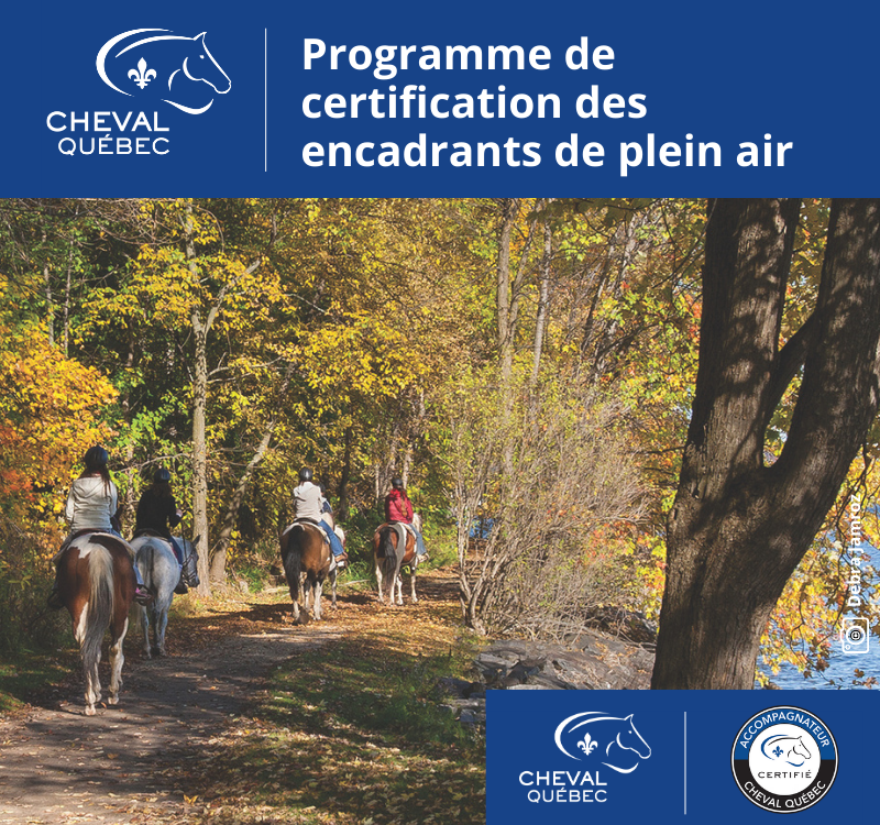 Brevet - Accompagnateur de randonnées équestres